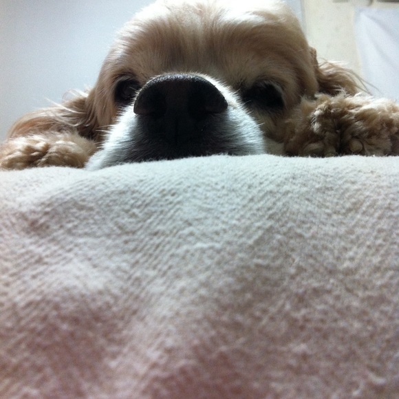 Meet your Posher, Eve - Picture 3 of 14